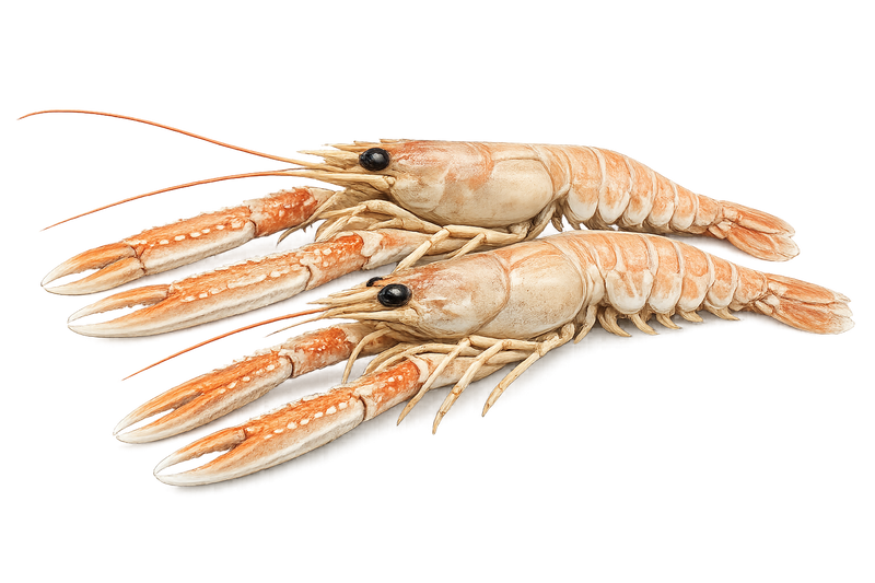 Langostinos