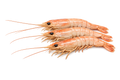 Camarones