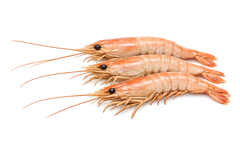 Camarones